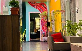 Maison Verte - Budget Edition